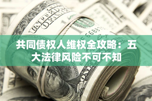 武汉共同债权人维权全攻略：五大法律风险不可不知