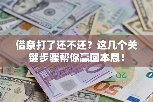 武汉借条打了还不还？这几个关键步骤帮你赢回本息！