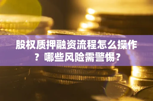 武汉股权质押融资流程怎么操作？哪些风险需警惕？