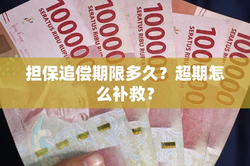 武汉担保追偿期限多久？超期怎么补救？