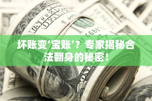武汉坏账变‘宝账’？专家揭秘合法翻身的秘密！