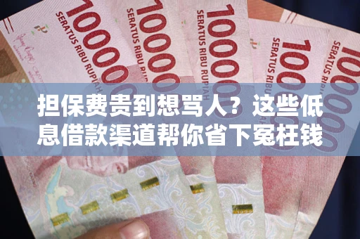 武汉担保费贵到想骂人？这些低息借款渠道帮你省下冤枉钱