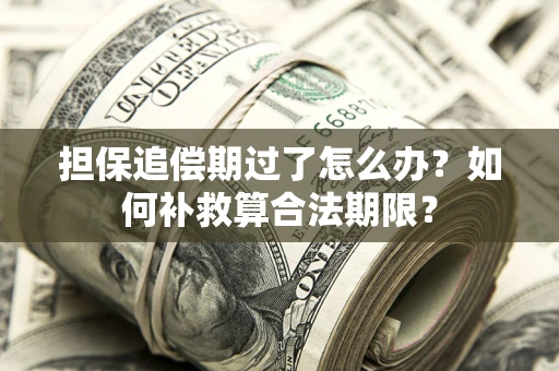 武汉担保追偿期过了怎么办？如何补救算合法期限？