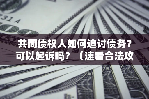 武汉共同债权人如何追讨债务？可以起诉吗？（速看合法攻略）