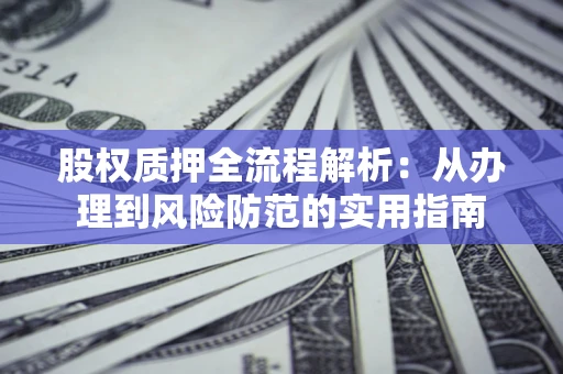 武汉股权质押全流程解析：从办理到风险防范的实用指南